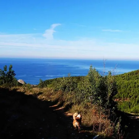 Apartament Foz House Buarcos