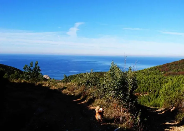 Apartman Foz House Buarcos